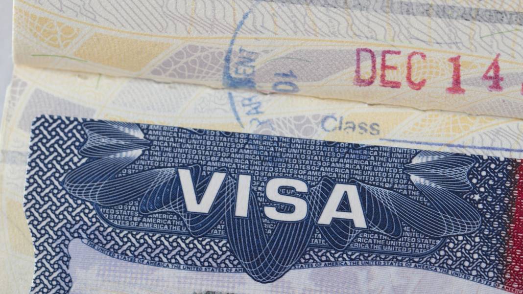 Vize krizi sürüyor: Başvurular neden uzun sürüyor, kaç kişiye vize veriliyor, yeşil pasaportlar nasıl etkiliyor? 2